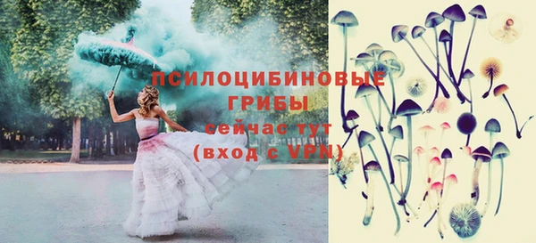 амф Медвежьегорск